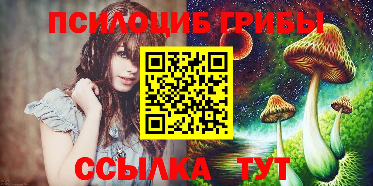 Псилоцибиновые грибы прущие грибы Чистополь