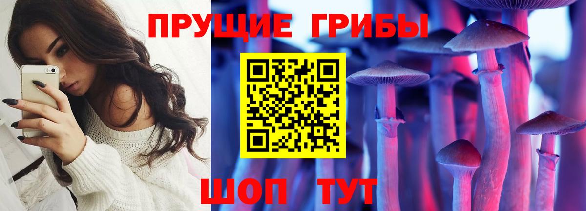 Псилоцибиновые грибы мухоморы  Вход с VPN  где продают   Чистополь  Псилоцибиновые грибы GOLDEN TEACHER 